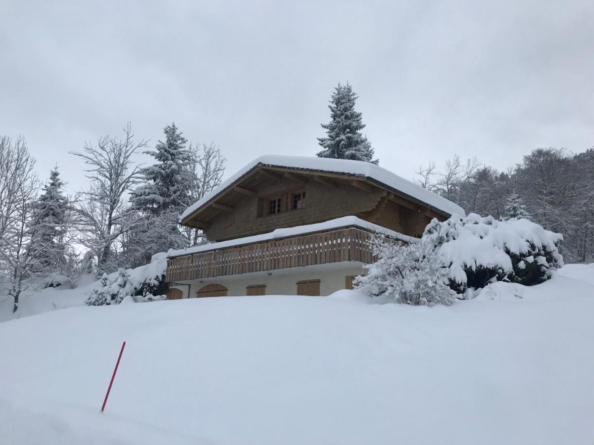 Chalet Les Marmottes سان جان دو سكست المظهر الخارجي الصورة